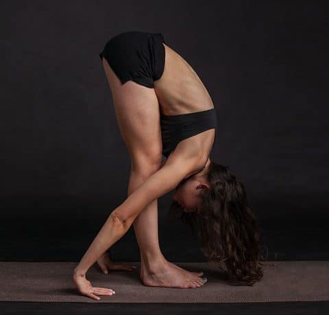 September 2019 - Asana Familien Teil III: Vorbeugen