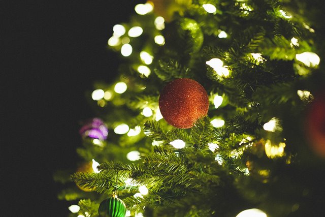 Fokus Dezember 2019 - OM Tannenbaum oder yogische Weihnachtszeit